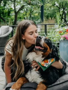 A woman holding and kissing a large bernese mountain dog.