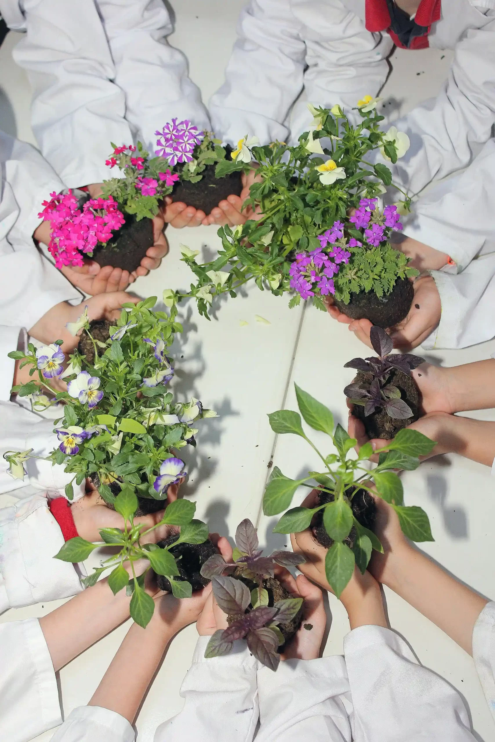 About 5 pair of hands where each hand is holding a small pot of colorful flowers