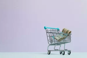 A shopping cart with a stack of cash inside of it, representing money management for one income families